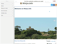 Tablet Screenshot of motya.info